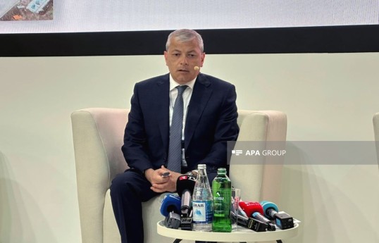 специальный представитель Президента в Шушинском районе Айдын Керимов