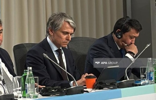 Заместитель исполнительного секретаря UNECE Дмитрий Марьясин