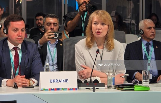 председатель Комитета Верховной рады Украины Олена Шуляк
