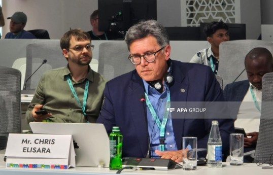 Основатель и руководитель американской организации Housing Equity and Development (HEAD) Крис Элисара