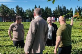 В рамках WUF13 представители Польши посетили Лянкяран