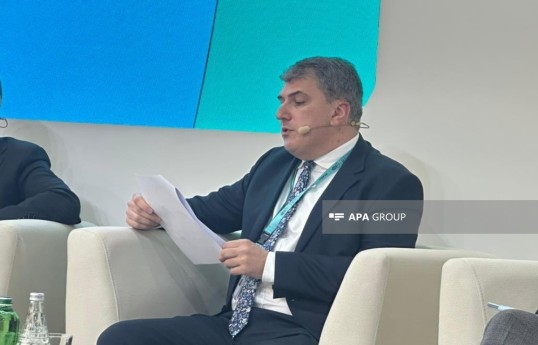 советник председателя Правления Государственного агентства автомобильных дорог Азербайджана (ГААДА) по вопросам институционального развития Фариз Азизов