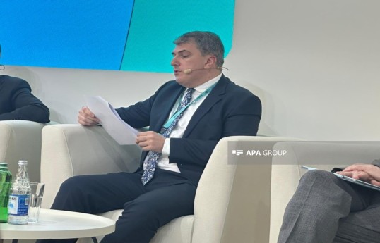Советник председателя Правления Государственного агентства автомобильных дорог Азербайджана (ГААДА) по вопросам институционального развития Фариз Азизов