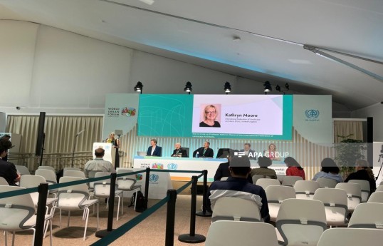 Представитель IFLA: Повторяющиеся катастрофы стали неотъемлемой частью глобального жилищного кризиса