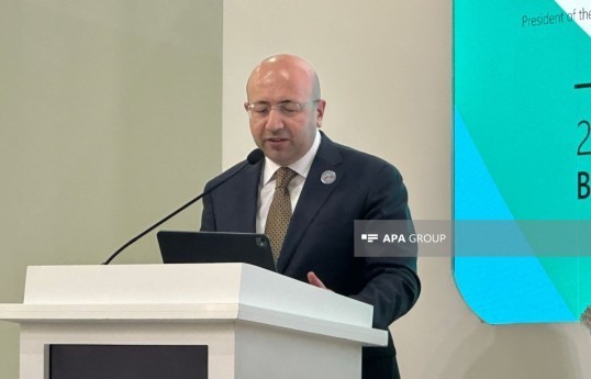 председатель Государственного комитета Азербайджана по градостроительству и архитектуре Анар Гулиев