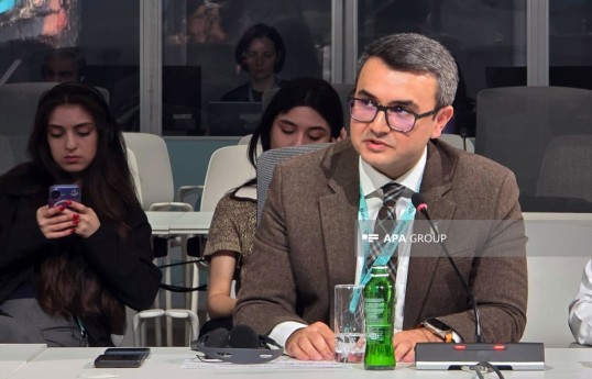 Исполнительный директор Бакинского международного центра мультикультурализма Реван Гасанов