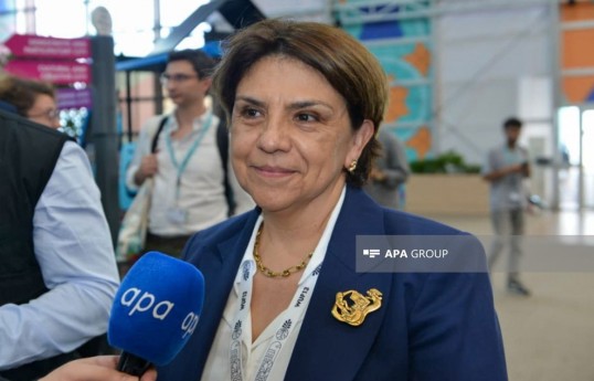 посол Мексики в Азербайджане Мария Виктория Ромеро Кабальеро