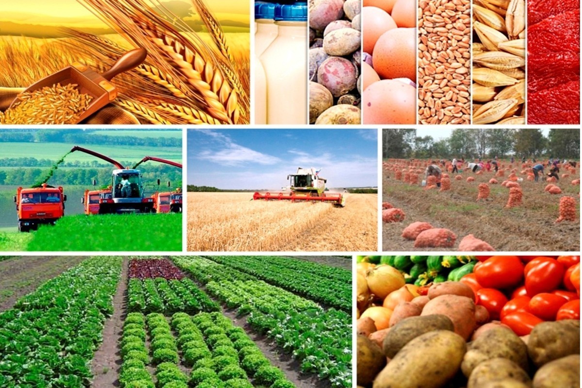 Новый этап аграрного развития: производительность, продовольственная безопасность и экспортный потенциал — <span class="red_color">АНАЛИТИКА