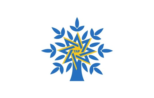 Новый состав Ревизионной комиссии ПЕА утвержден