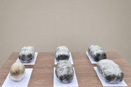 Предотвращена контрабанда наркотиков через государственную границу — ФОТО 