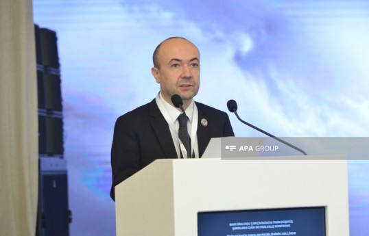заместитель министра иностранных дел Азербайджана Фариз Рзаев