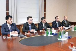 Директор АБР обсудил транспортные возможности Нахчывана в рамках проекта TRIPP