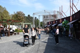 На Бакинском бульваре продолжается Фестиваль оливок-ФОТО 