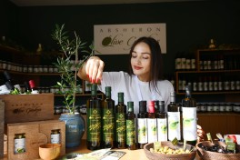 На Бакинском бульваре продолжается Фестиваль оливок-ФОТО 
