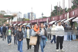Сегодня последний день Фестиваля оливок на Бакинском бульваре — ФОТОЛЕНТА 