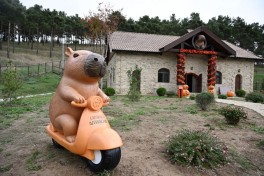 Лейла Алиева посетила ферму Capybara Azerbaijan в Шамахы