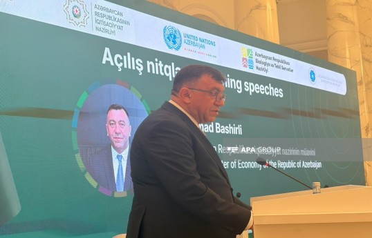 заместитель министра экономики Самед Баширли