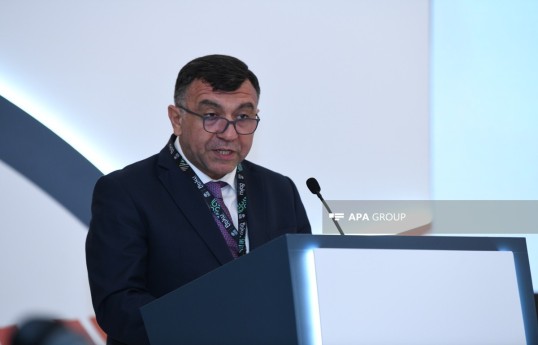 заместитель министра экономики Самед Баширли