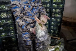 Пресечена попытка контрабанды особо крупной партии наркотиков транзитом через Азербайджан