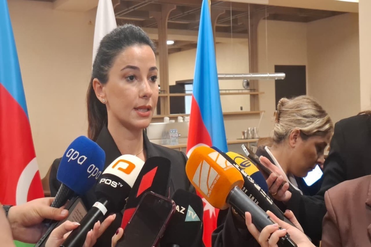 Министр: Азербайджано-грузинские отношения способствуют экономическому развитию обеих стран
