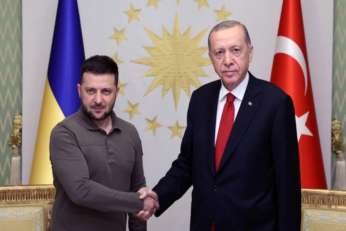 Президент Украины Владимир Зеленский, Президент Турции Реджеп Тайип Эрдоган