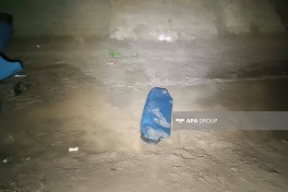 В Товузе легковой автомобиль упал в водный канал, пострадали четыре человека