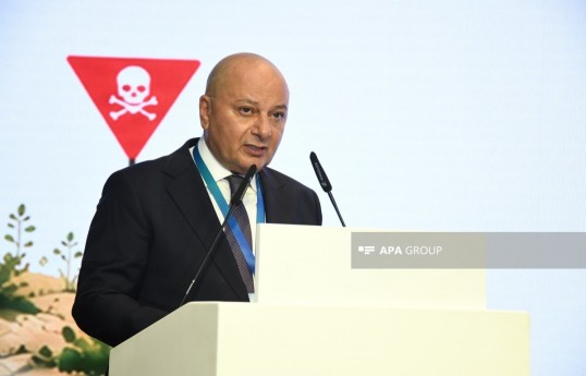 председатель Правления ANAMA Вугар Сулейманов