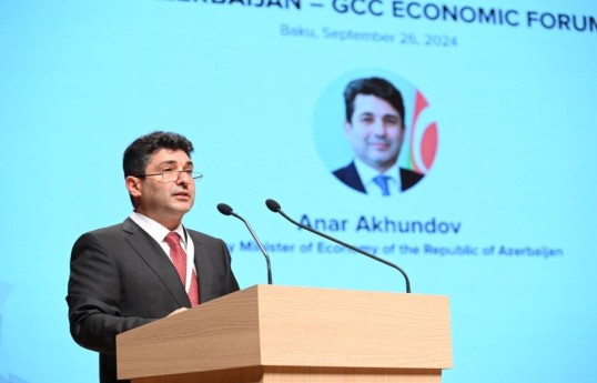 заместитель министра экономики Анар Ахундов