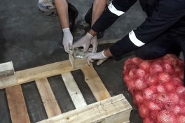 В грузе с луком, следовавшем из Ирана в Россию, обнаружено 25 кг марихуаны-ВИДЕО 