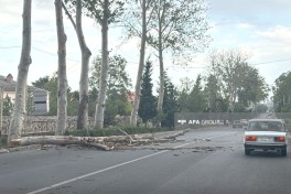 Сильный ветер нанёс ущерб в Барде, Тертере и Агдаме — ФОТО 