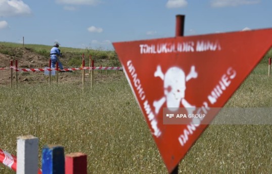 Председатель ANAMA: Во время паводков были случаи повторного загрязнения минами очищенных территорий