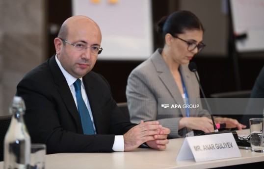 председатель Государственного комитета градостроительства и архитектуры Азербайджанской Республики Анар Гулиев