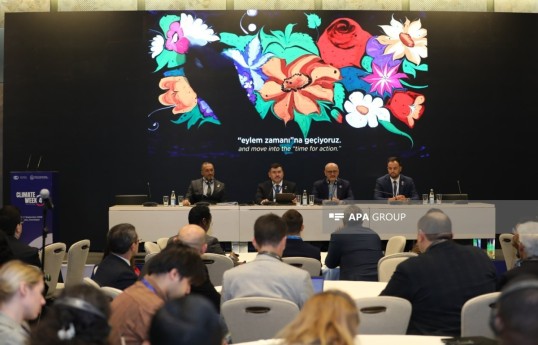 Раскрыты детали относительно места проведения COP31