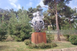 В комплексе «Насими баглары» в Шамахы посажено более 150 тысяч деревьев и растений -ФОТО 