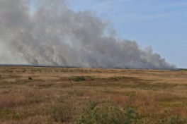 Пожар на открытой местности на автомагистрали Баку–Алят–Астара потушен — ФОТО — ОБНОВЛЕНО-1 — ВИДЕО 