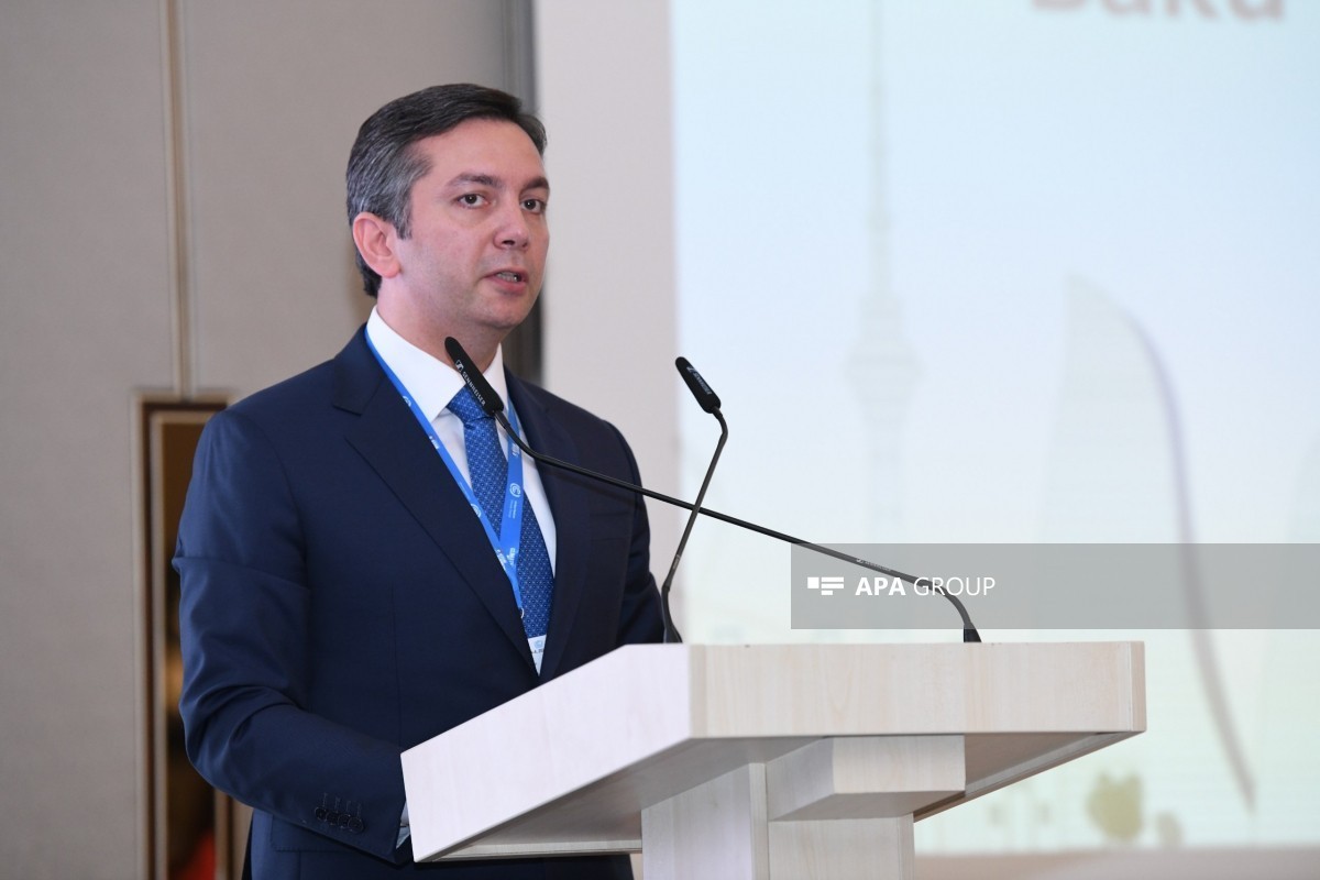 заместитель министра иностранных дел Азербайджана Ялчин Рафиев