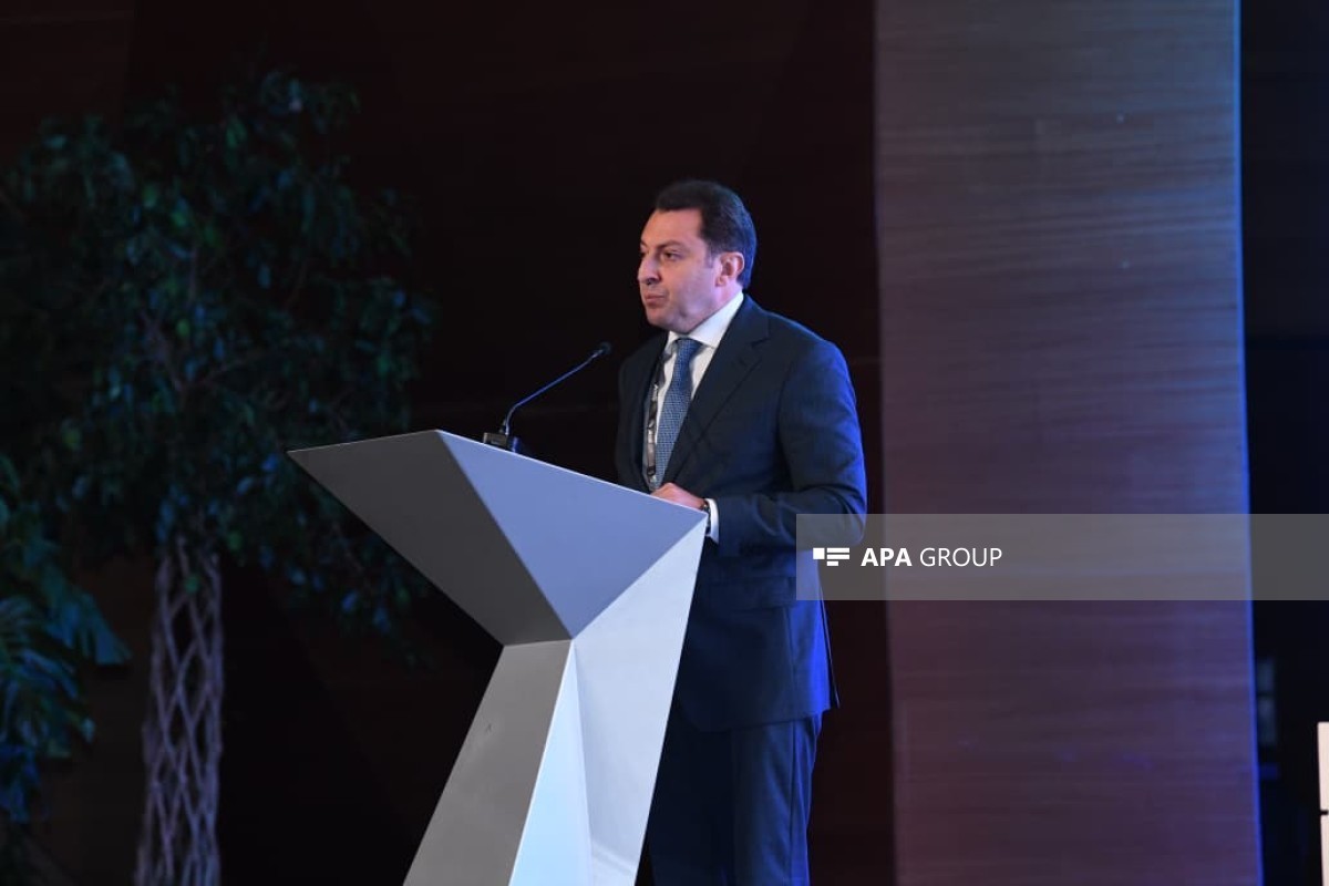заместитель министра иностранных дел Эльнур Мамедов