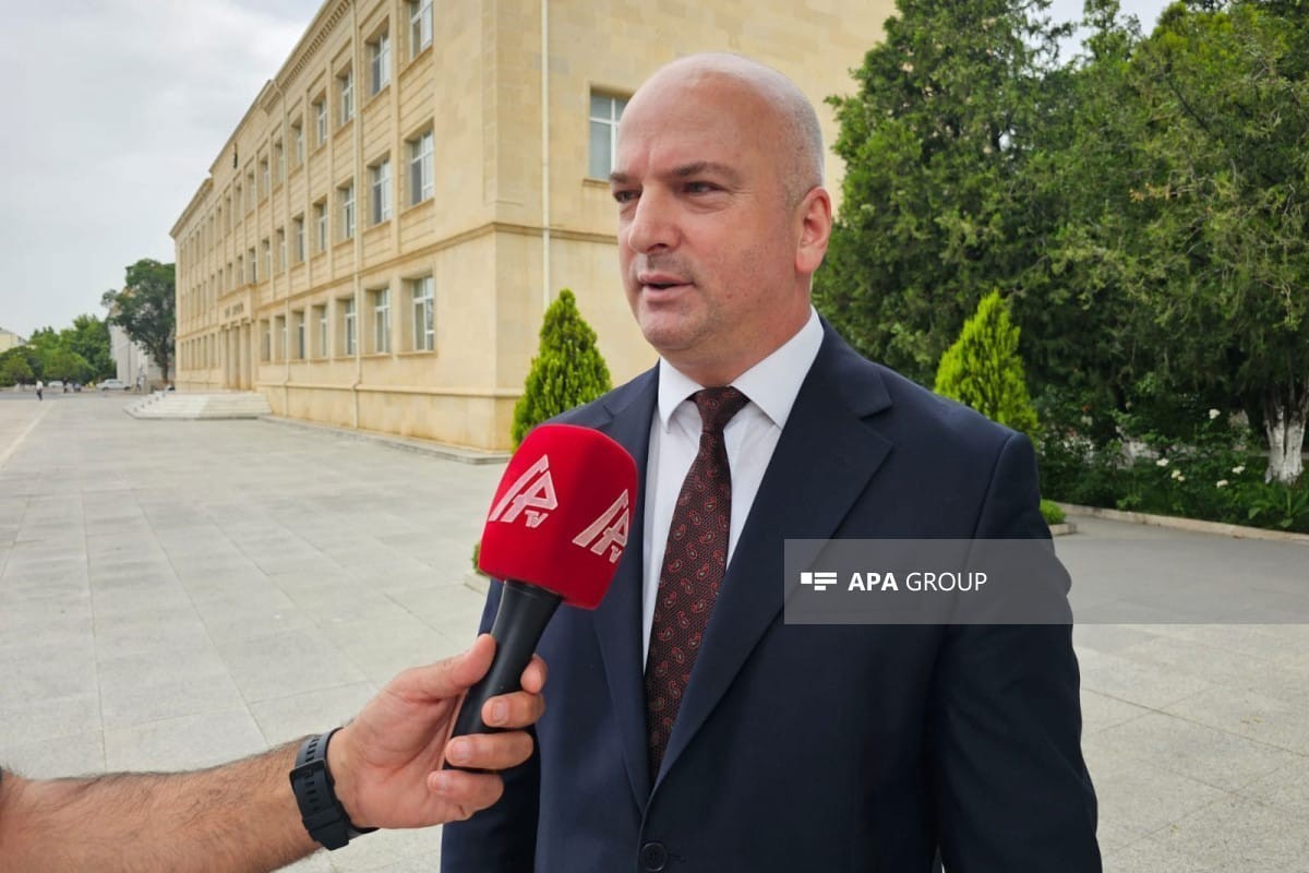 Эльхан Наджафов