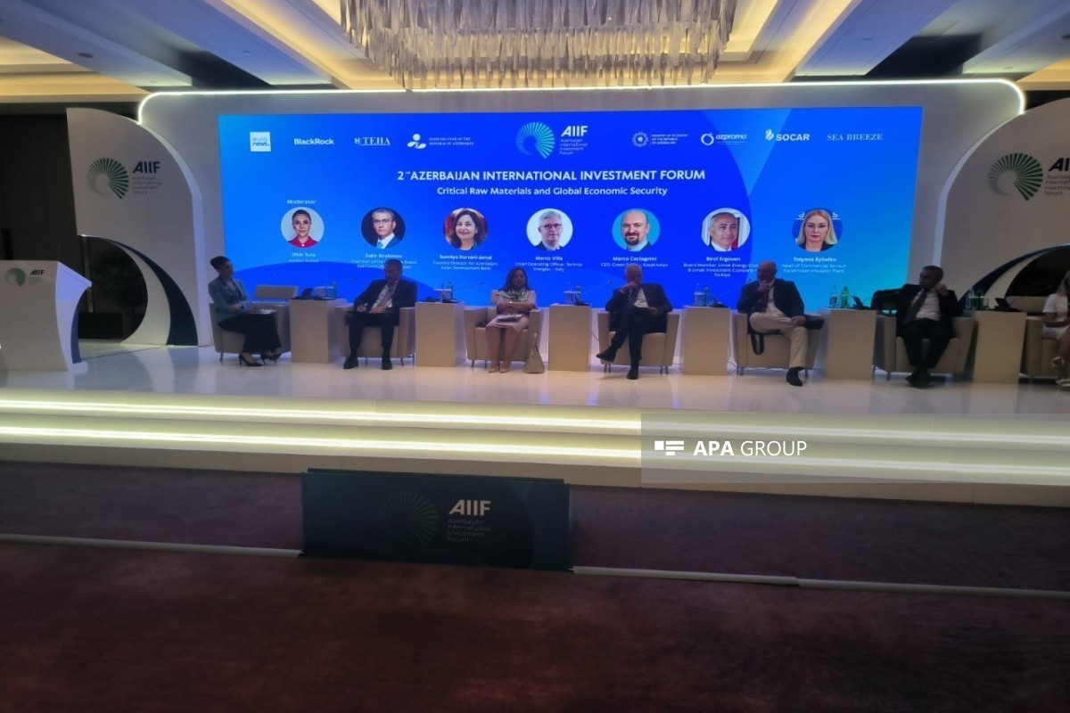 Глава AzerGold: Азербайджан может стать региональным центром по критически важным минералам