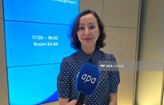 руководитель Регионального представительства Группы EIB по Южному Кавказу Стелла Ренита