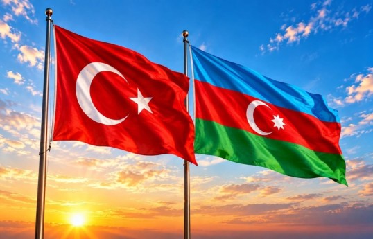 Посольство Турции: С благодарностью чтим память шехидов, отдавших свои жизни за территориальную целостность Азербайджана